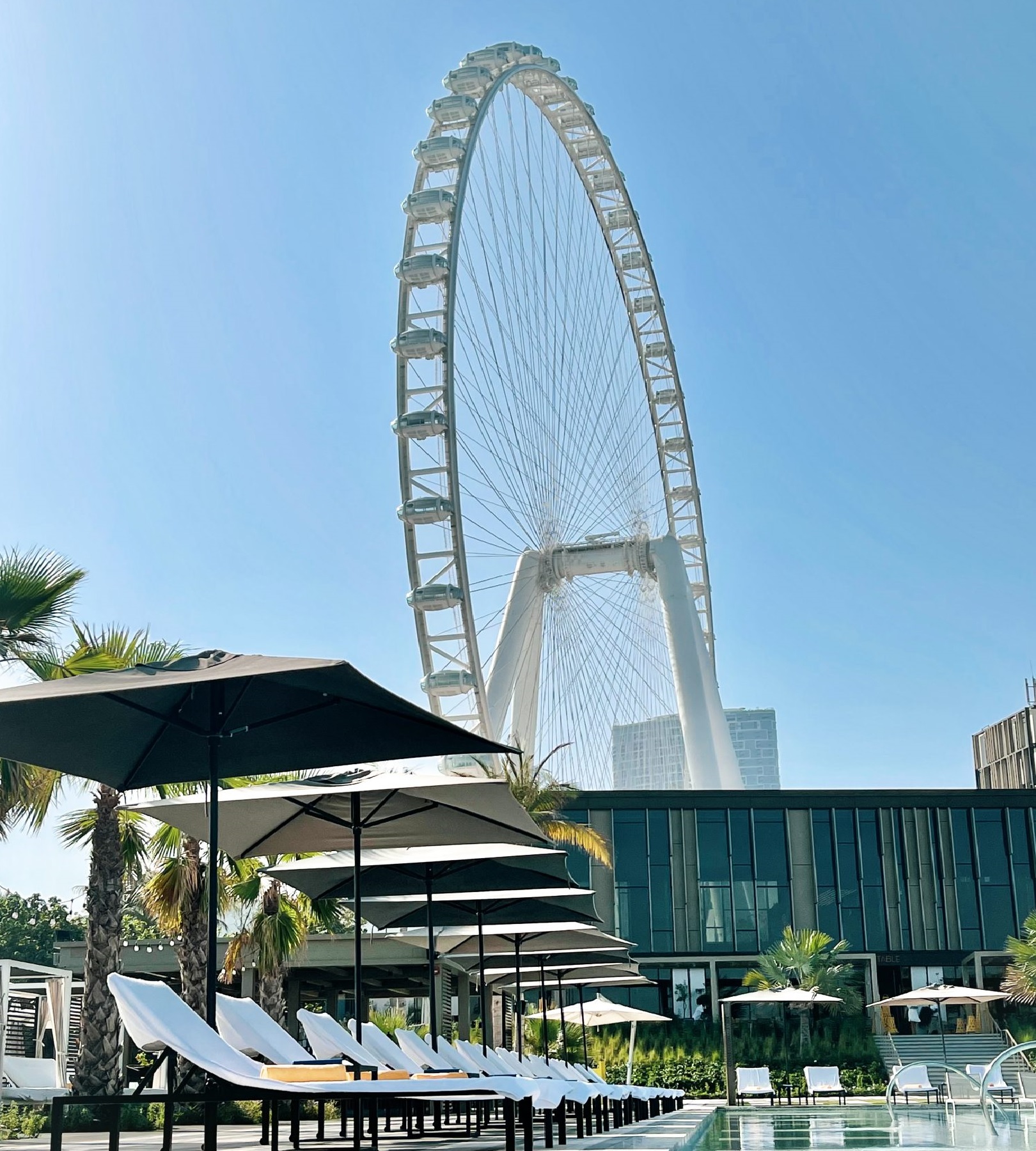 Caesars Palace Bluewaters Dubai Venus Pool and Bar - The Luxe Voyager:  Luxury Travel