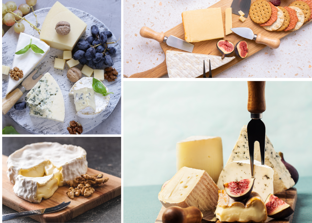 Bidfood Middle East's dairy offering grows to include premium specialty  cheeses - Caterer Middle East