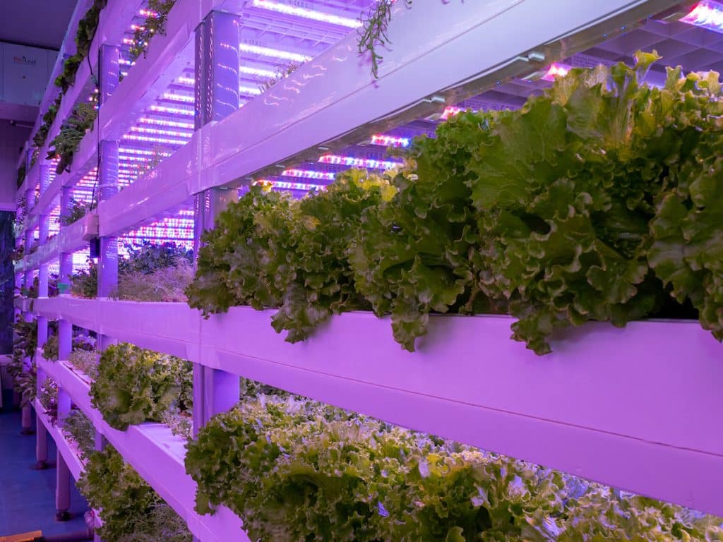 Crysp Farms secures US$2.25 million ‘pre-series A’ round led by Gate ...