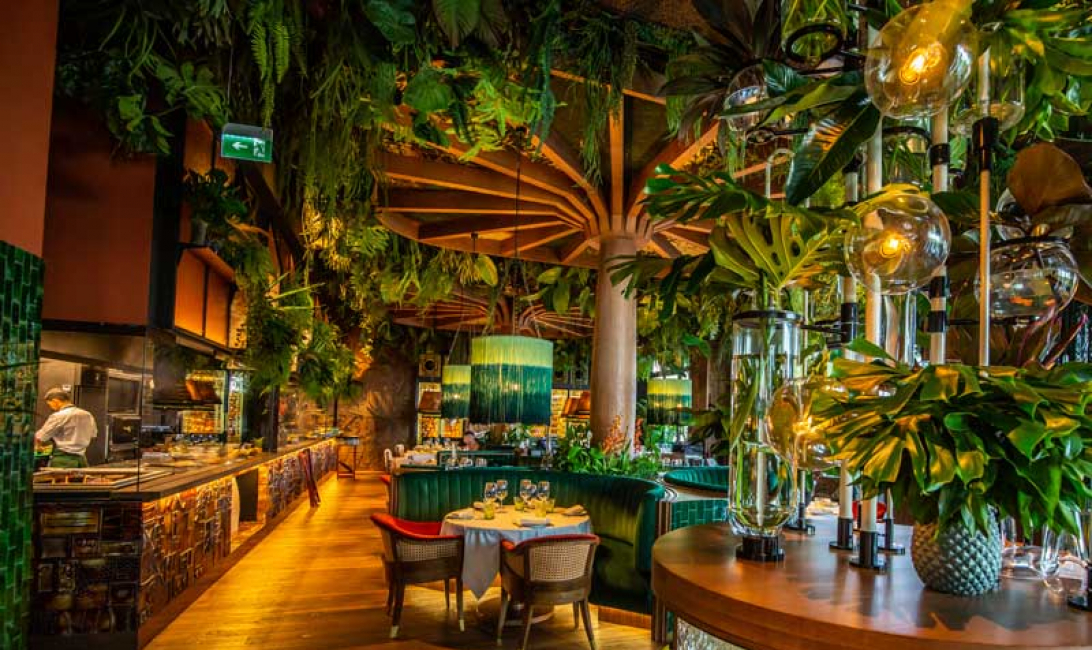 Spotlight: Jungle-themed fun at Amazonico Dubai - Restaurants ...
